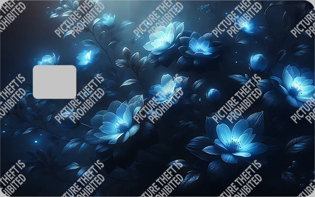 Bank  Card Sticker-BC-3048